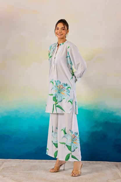 Greyish Floral Printed Coord Set